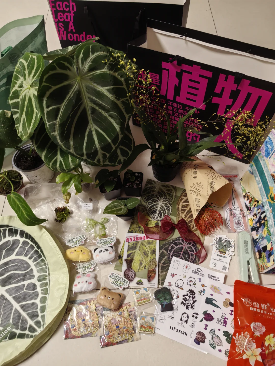 热植展去到就是赚到!年轻人的鸡蛋太多啦