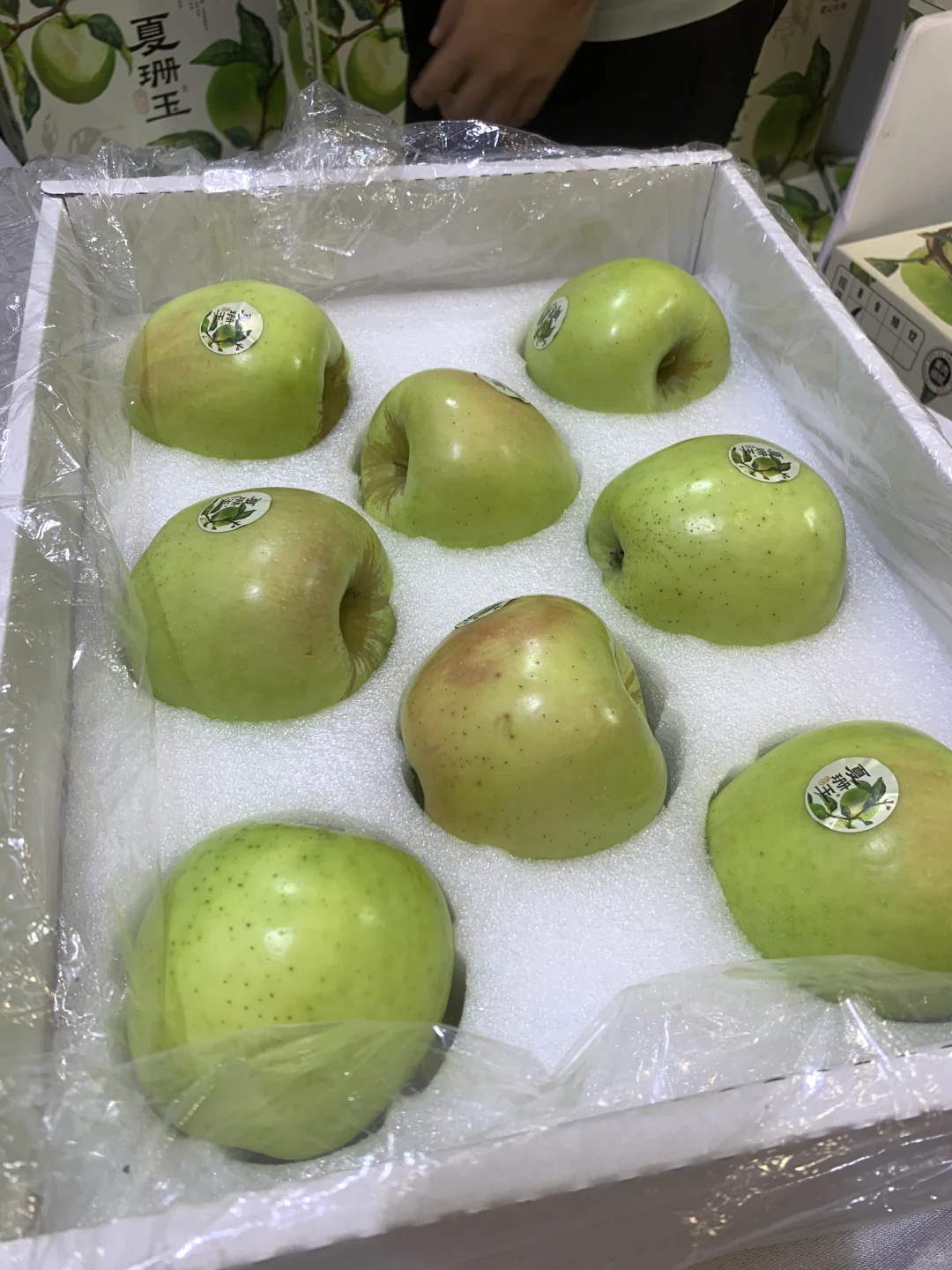 郑州2024水果食品展
