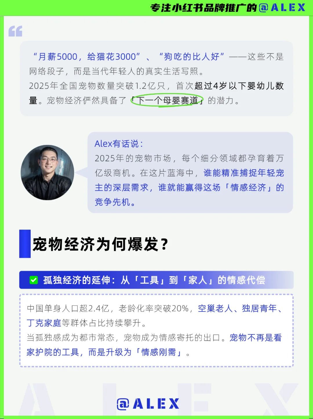 下一个母婴赛道?2025最新万亿市场宠物经济