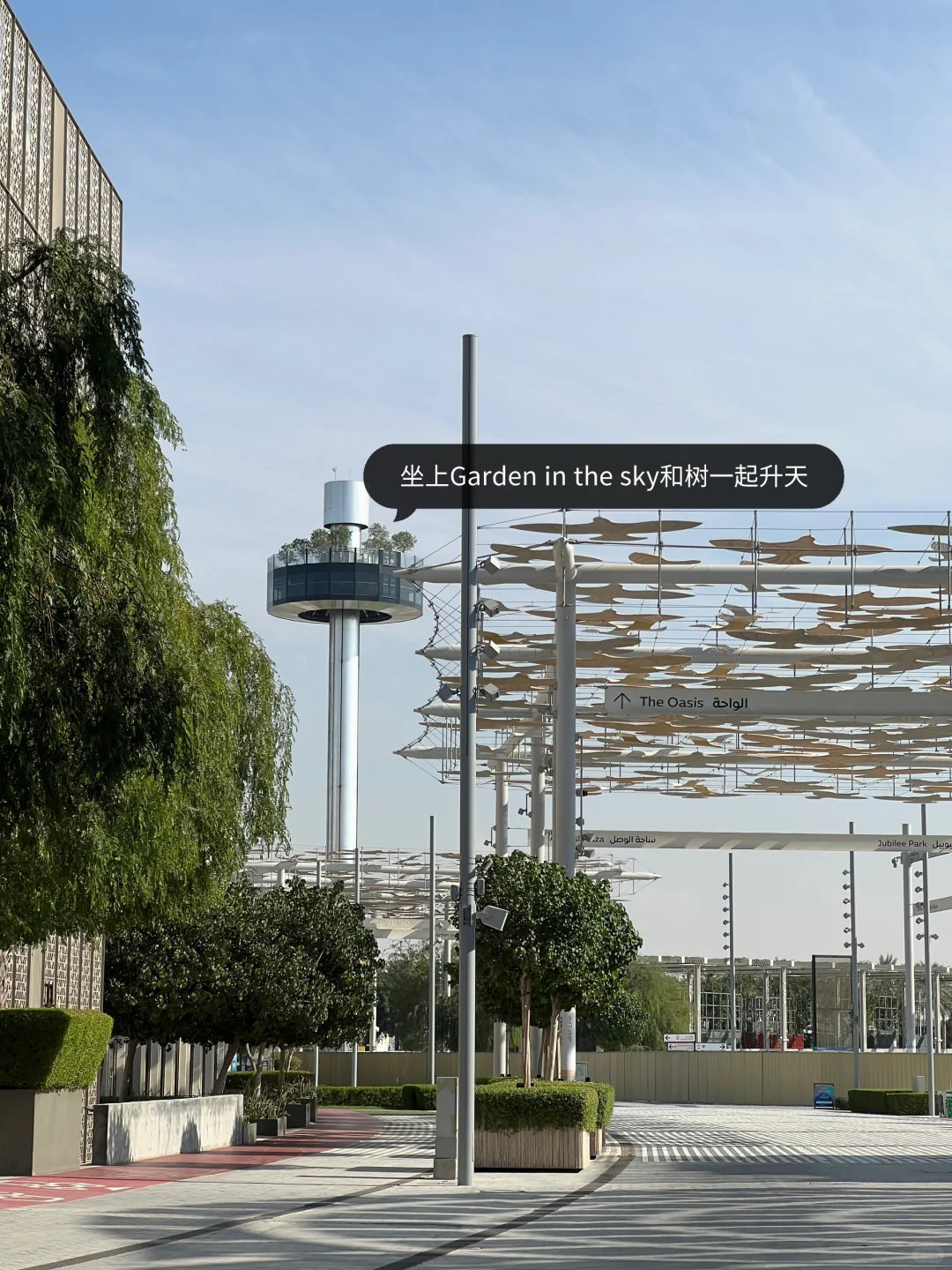 迪拜|世博园EXPO 2020暴走看建
