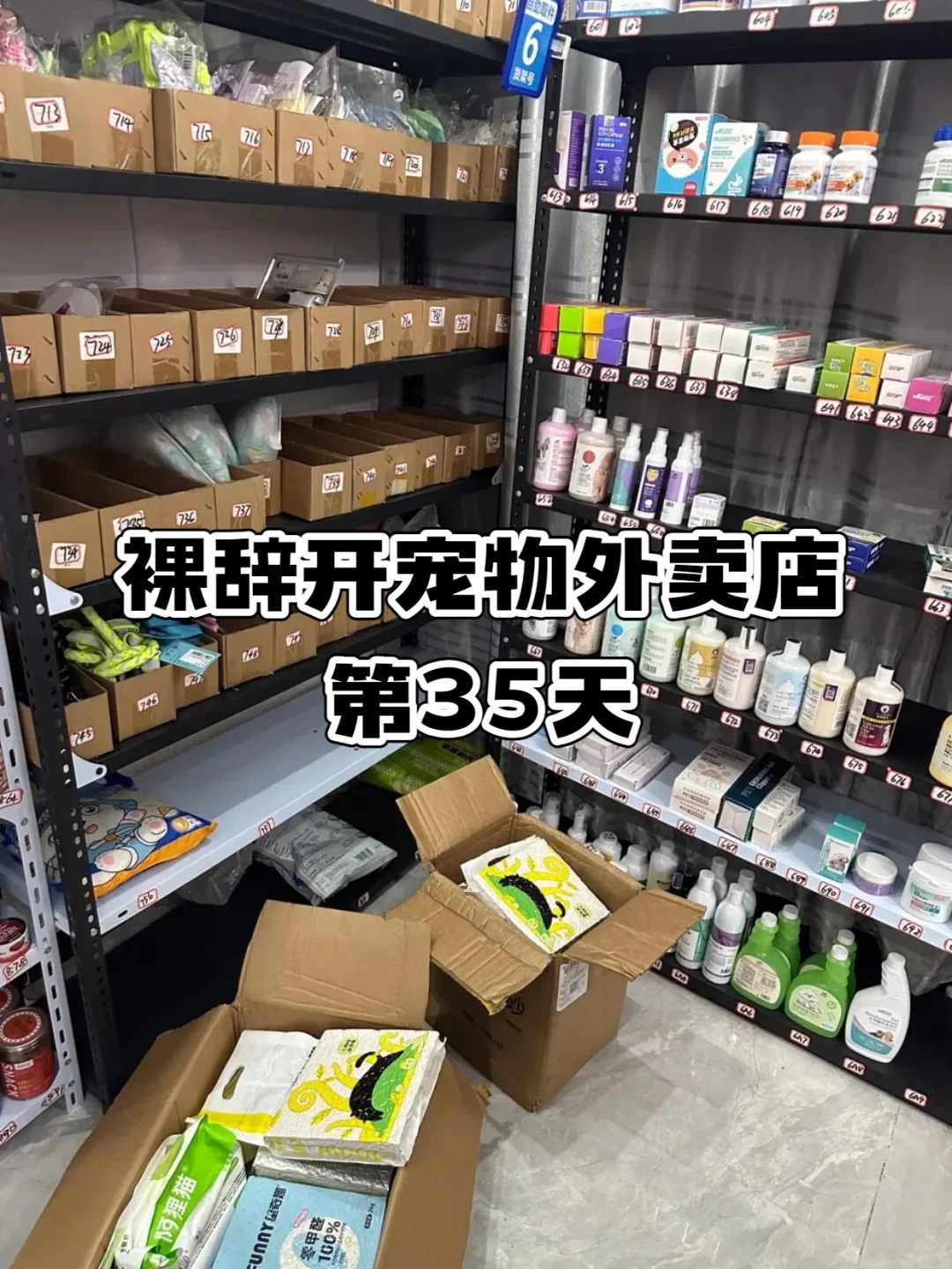 宠物行业创业指南|开一家盈利的宠物用品店