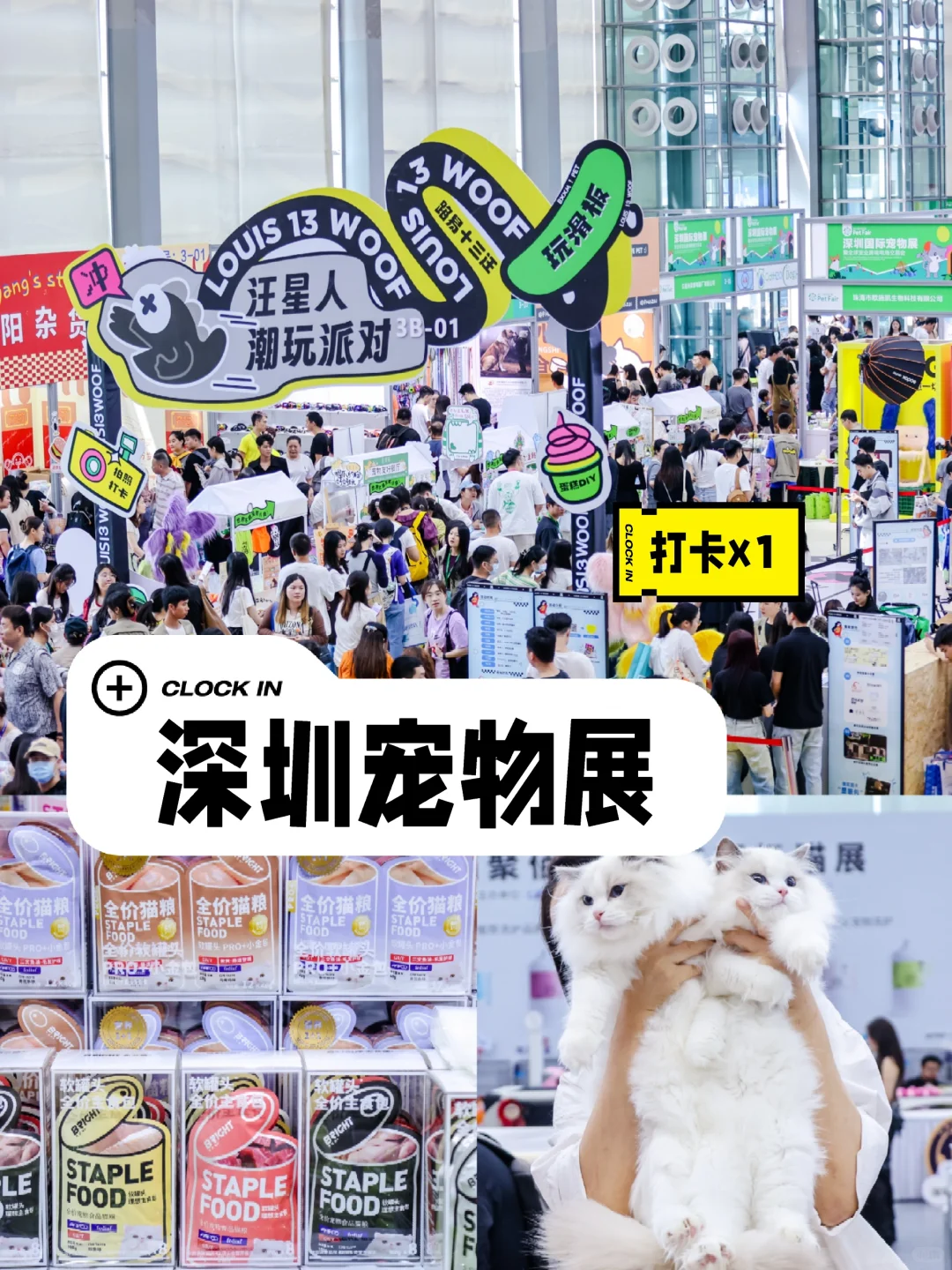 2025深宠展10.17开幕!错过等一年!