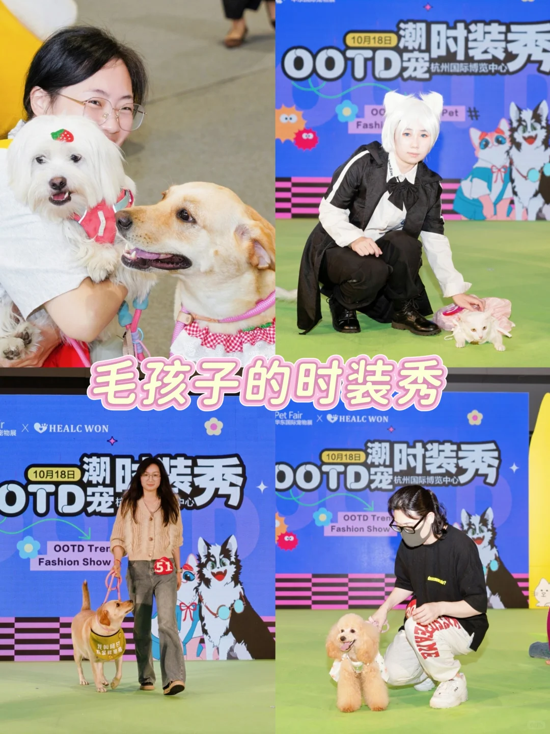 浙江人又幸福啦！华东宠物展开幕啦