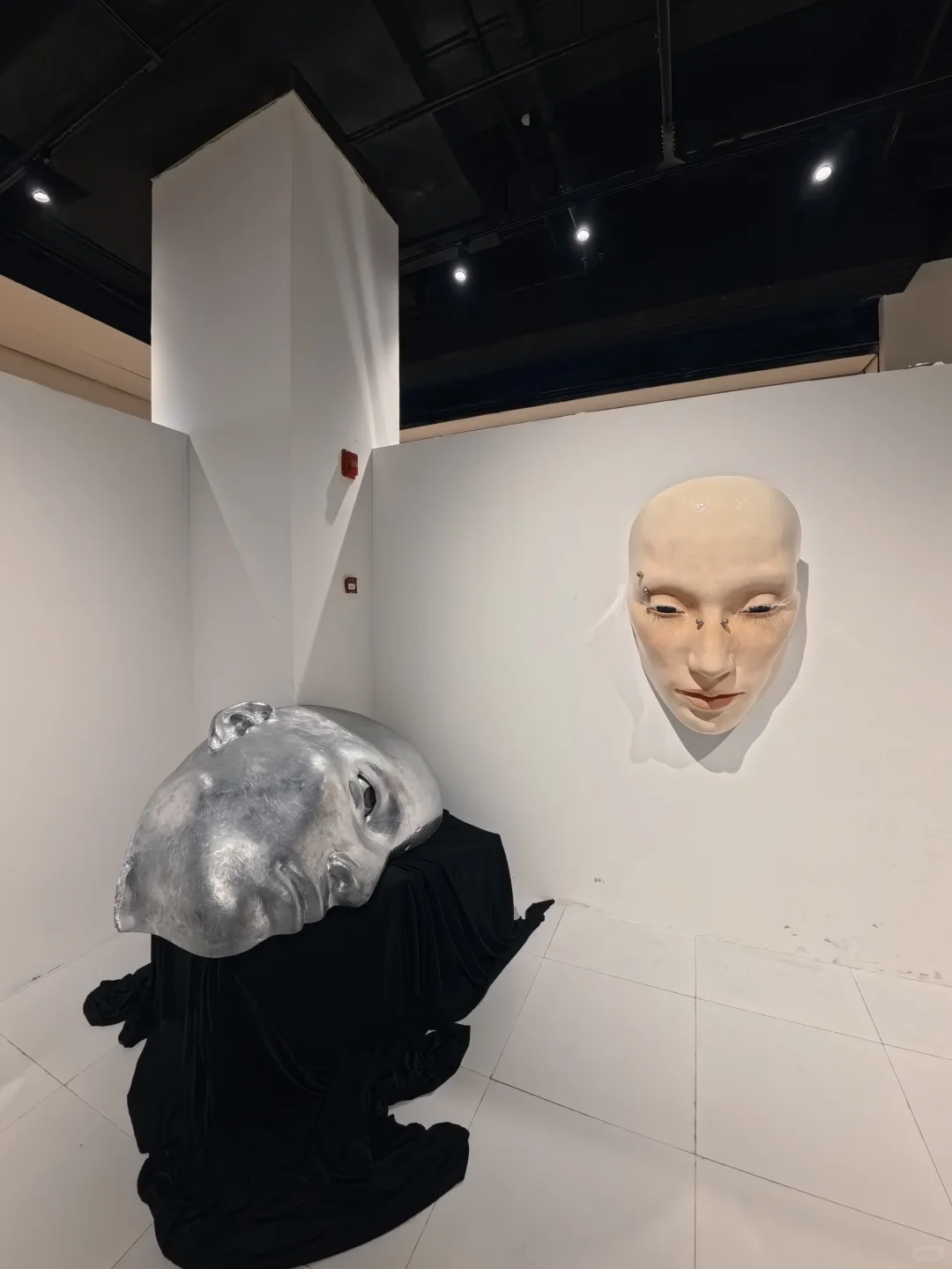 ????? ????巨人展!不在魔都在郑州