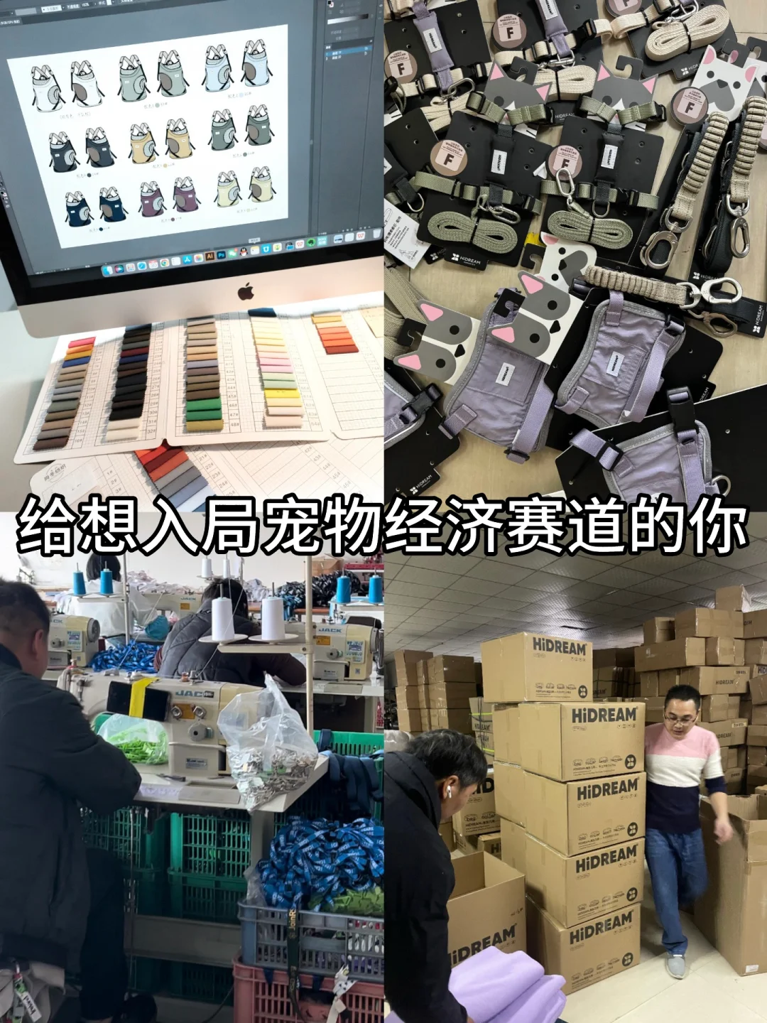 在宠物经济赛道数十年的工厂想说点真心话