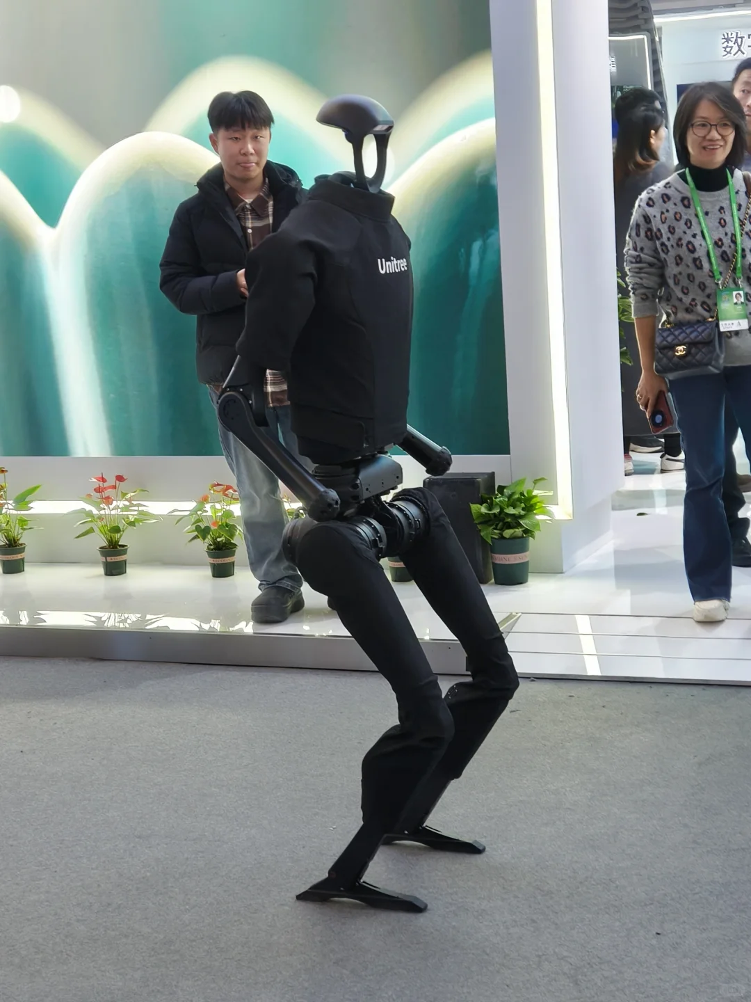 Plog|2024乌镇·互联网之光打卡了!