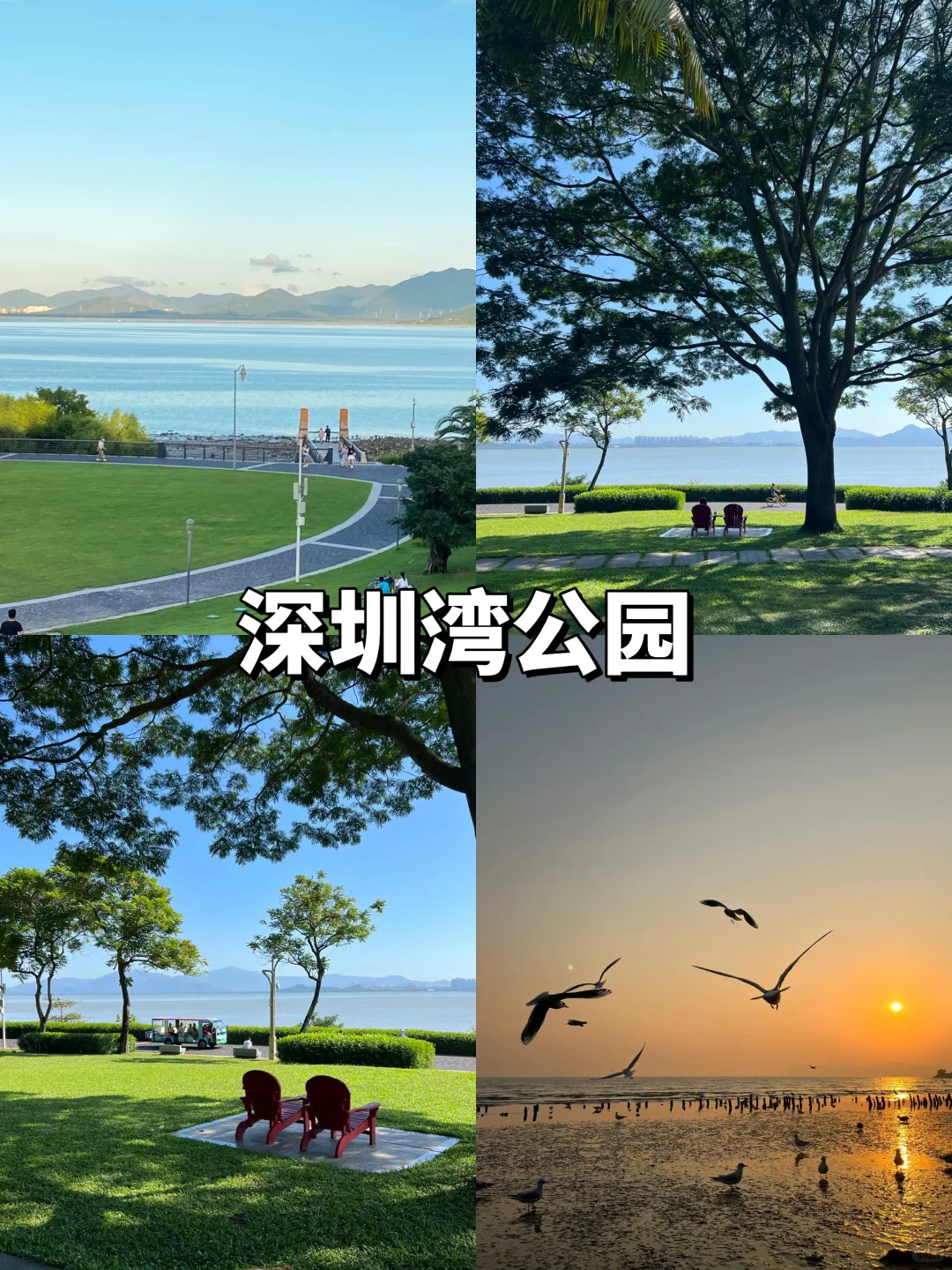 人均500?深圳2天1夜旅游攻略!不走回头路