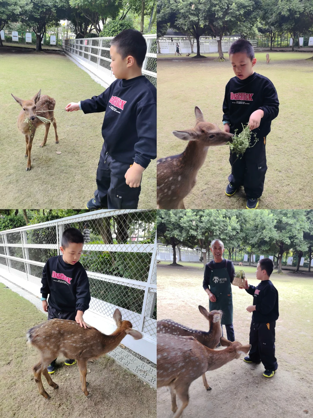 谁懂啊！温江藏在森林里的宝藏游乐园?