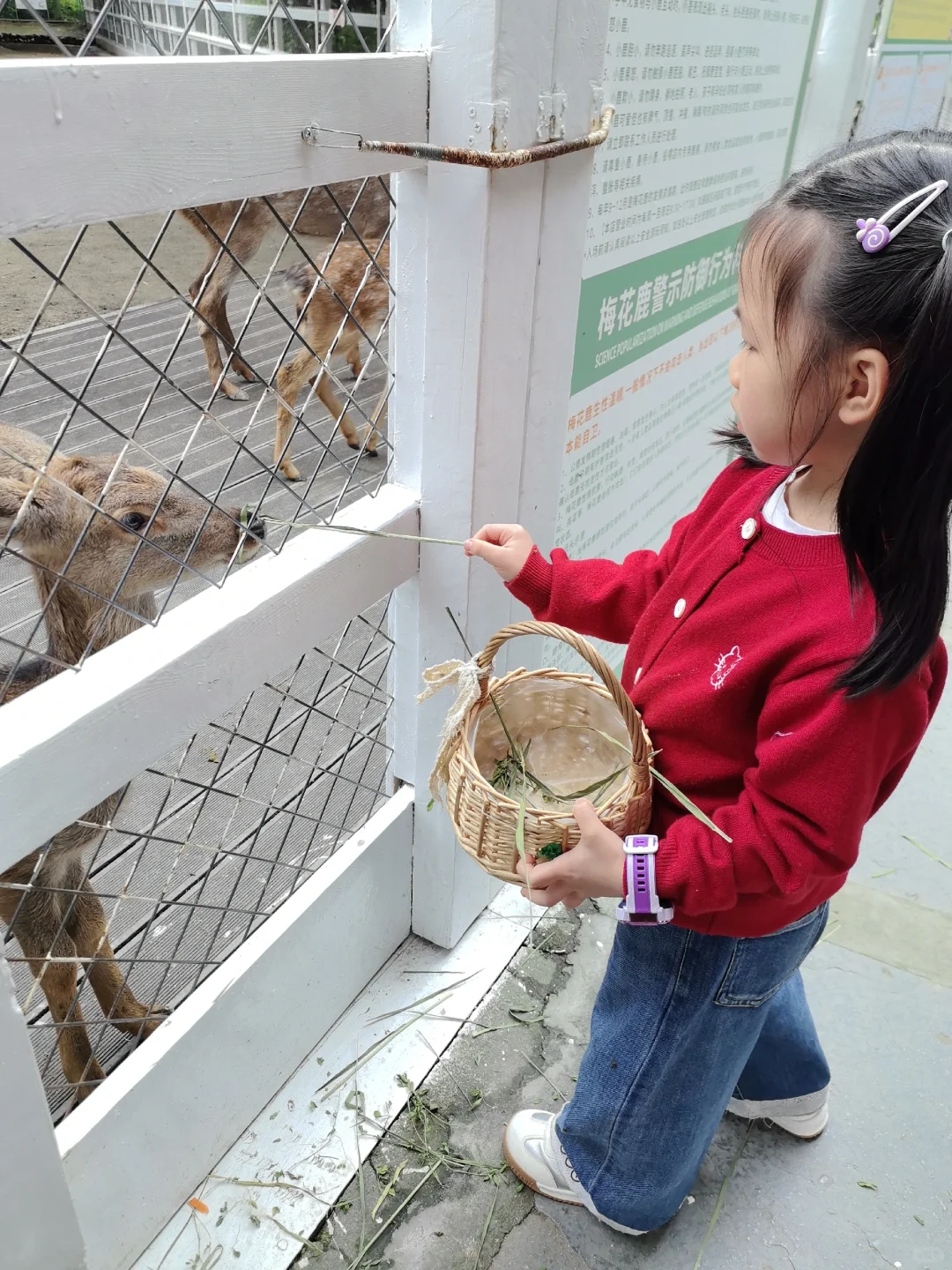 谁懂啊！温江藏在森林里的宝藏游乐园?