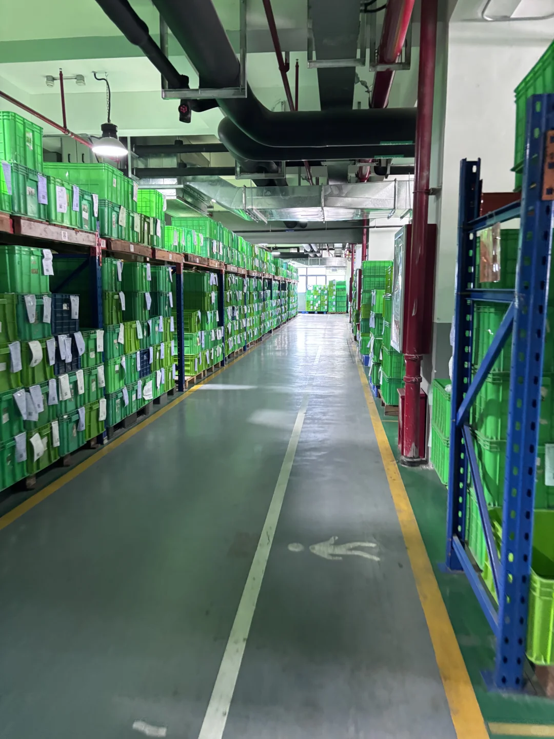 在工厂打工的日常碎片?