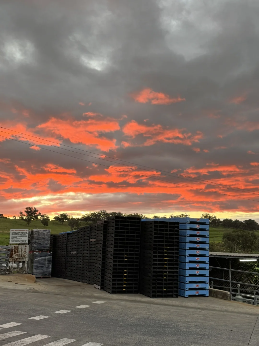 青春献给流水线，澳洲肉厂女工一周1800刀