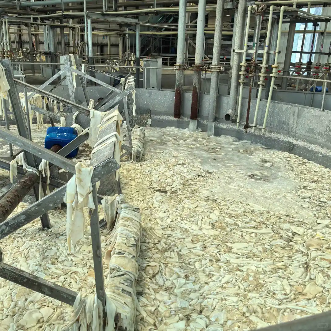 明胶生产设备的创新与优化