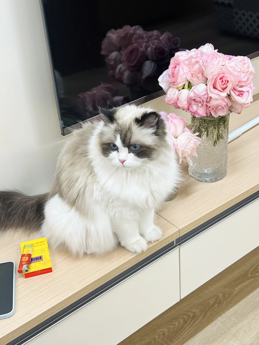 00后机械加工二代｜⚙️搬砖版