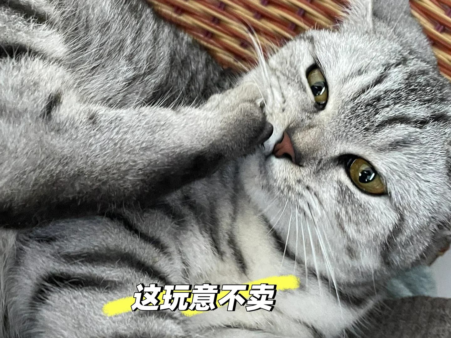 自动化设备谁用谁懂