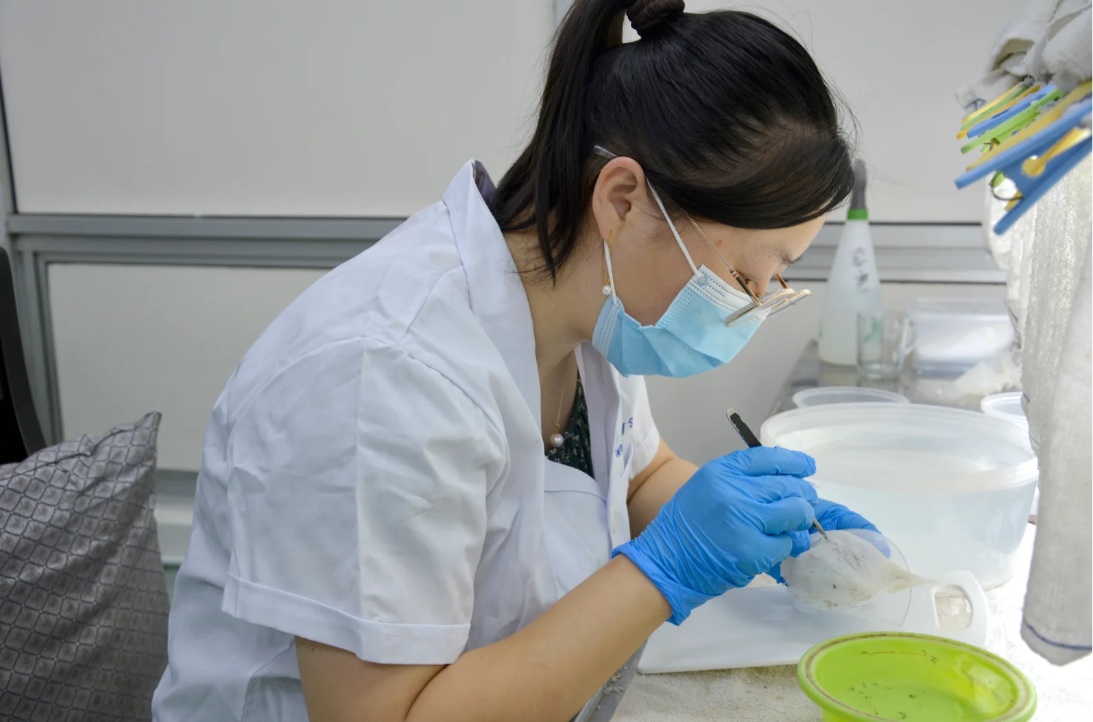 燕窝工厂的日常