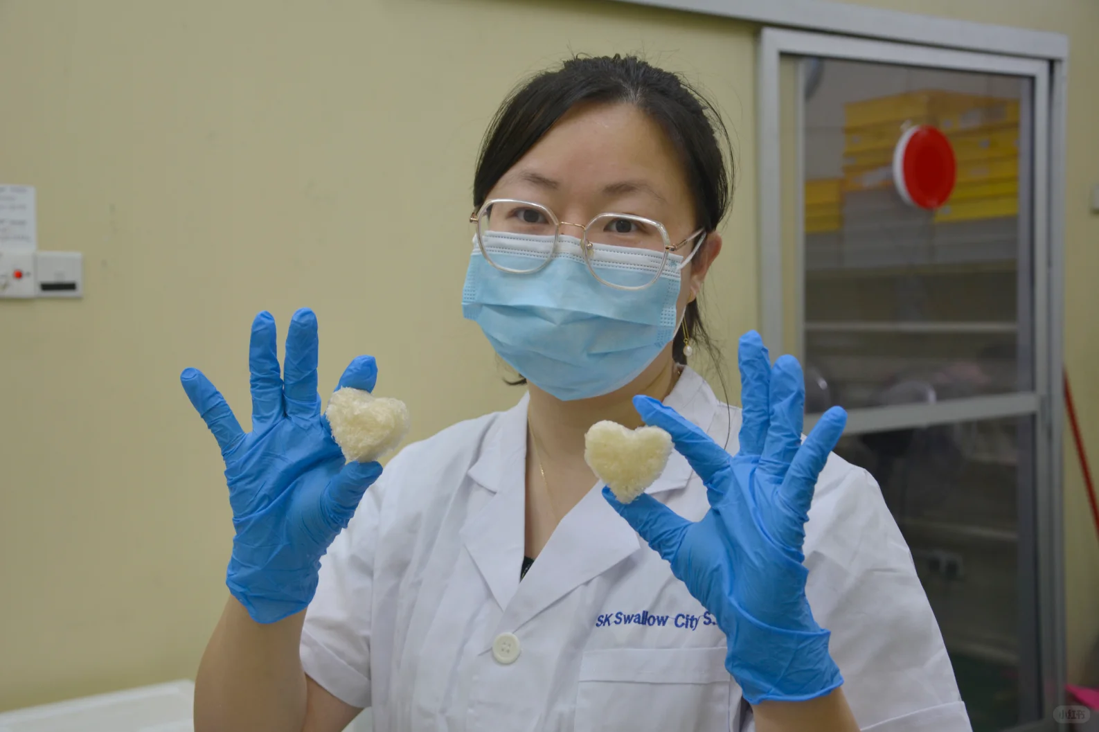 燕窝工厂的日常