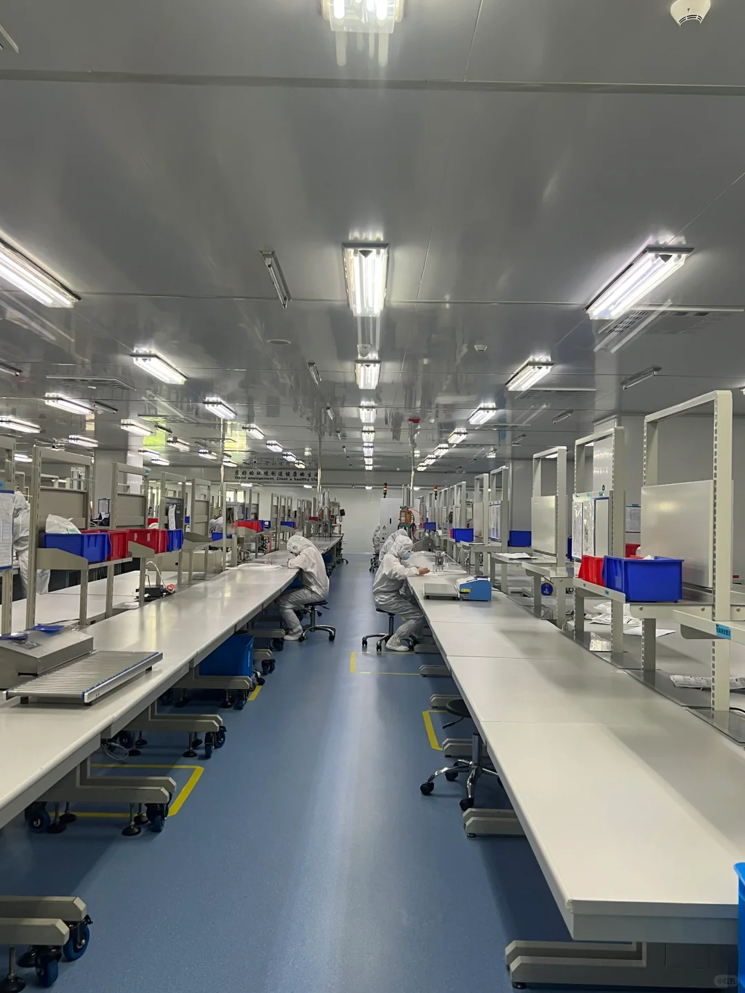 医疗厂长白班，交杭州五险