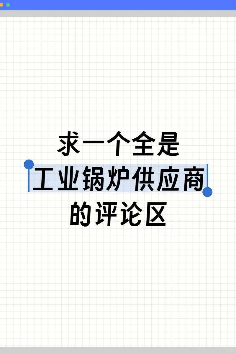 工业锅炉供应商同行请留步?