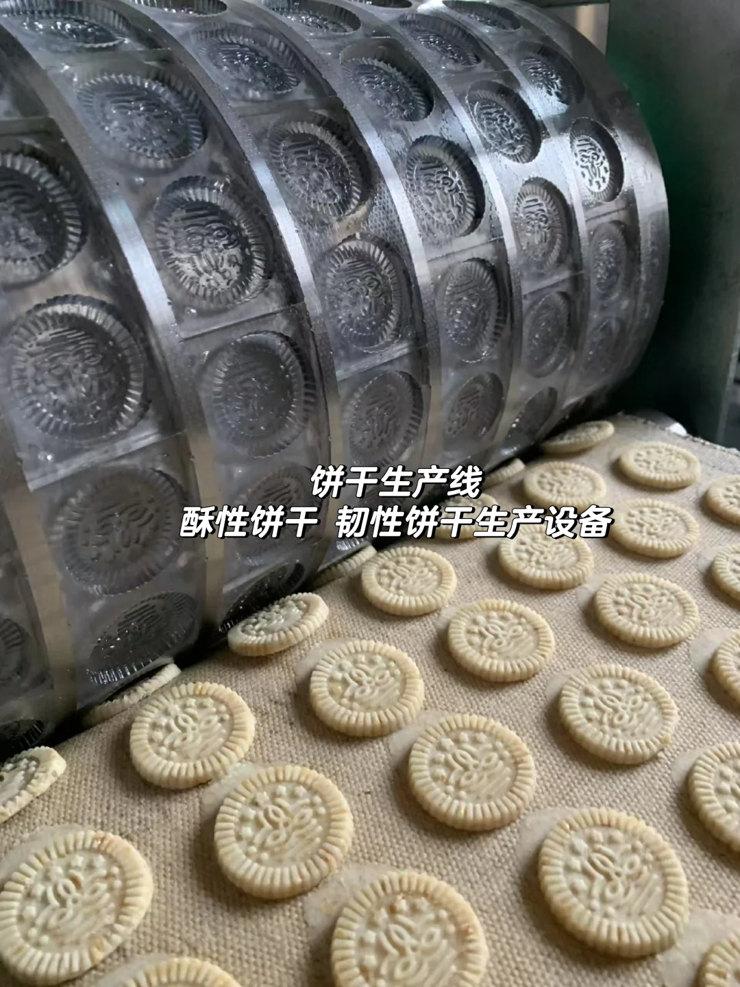 饼干生产线