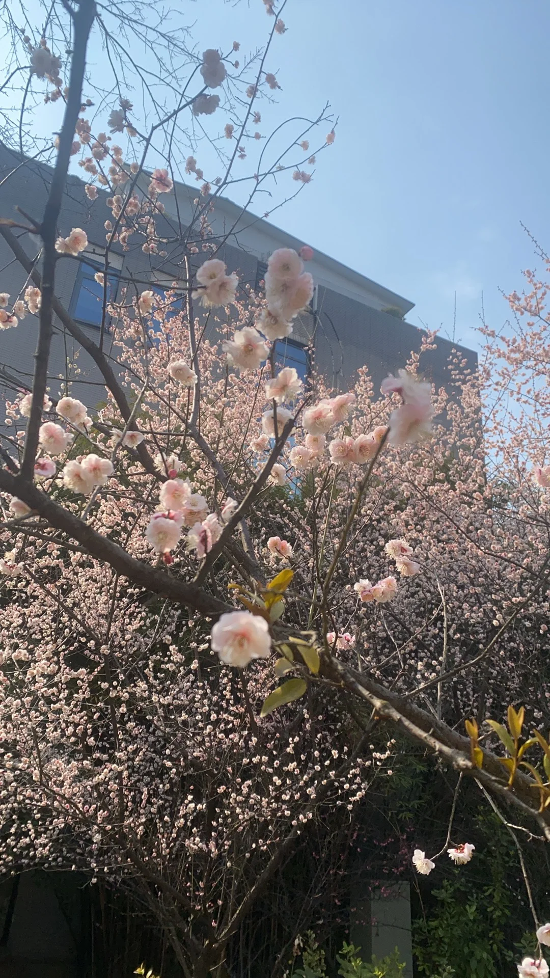 采购助理第十六天，一天都在登记数据