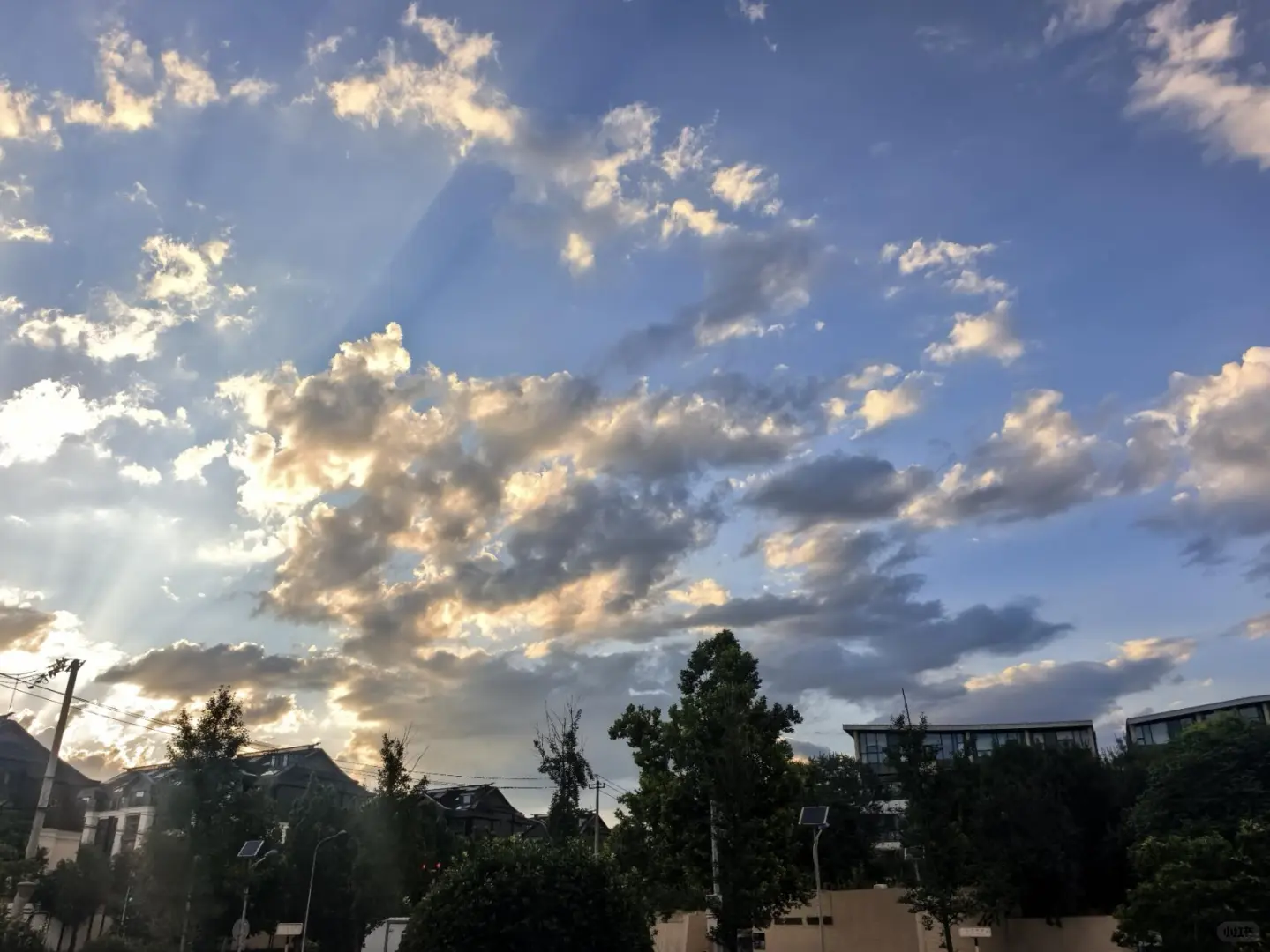 机器人神仙公司-未岚大陆