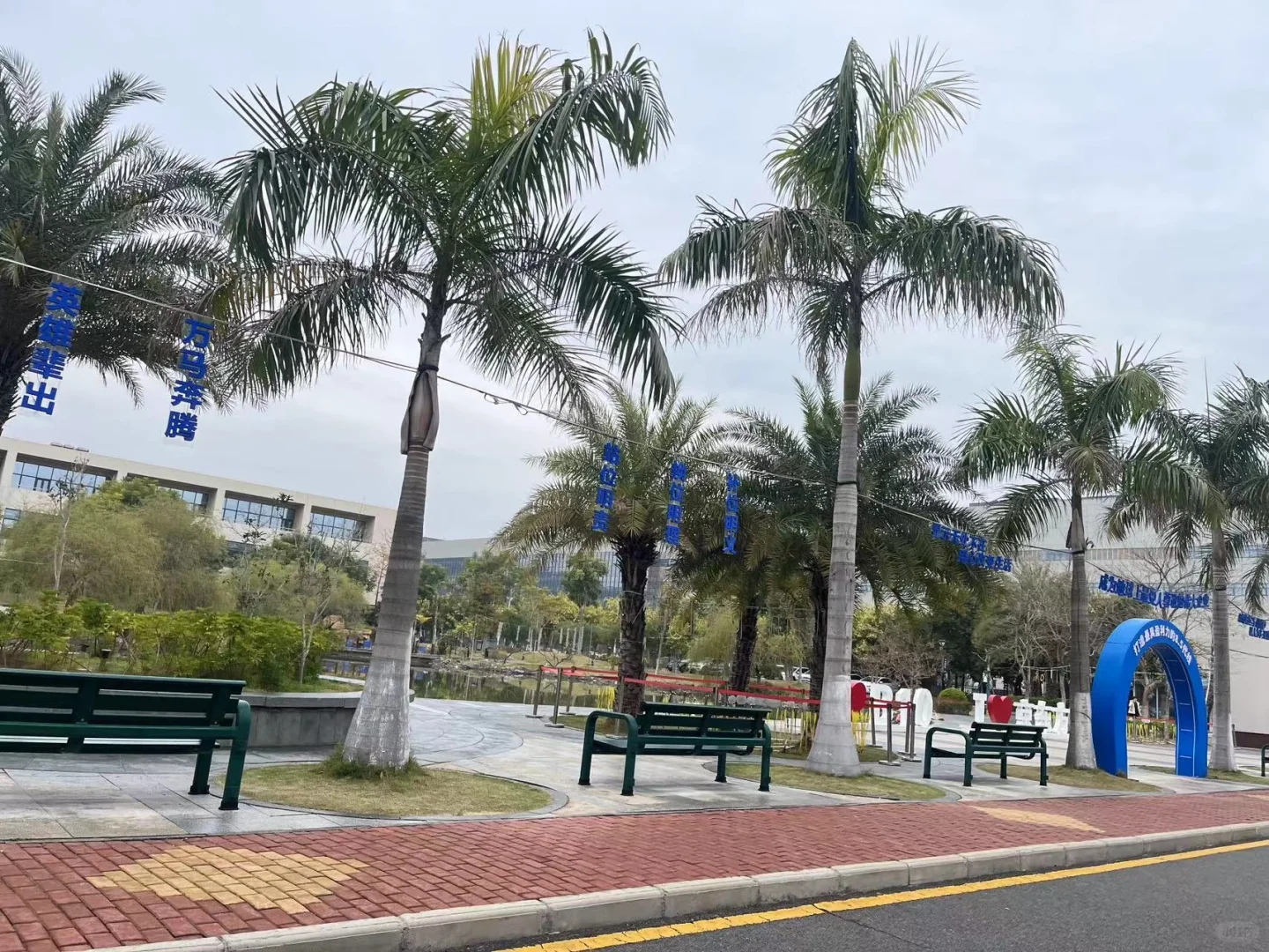 我的青春在电子厂20一个小时