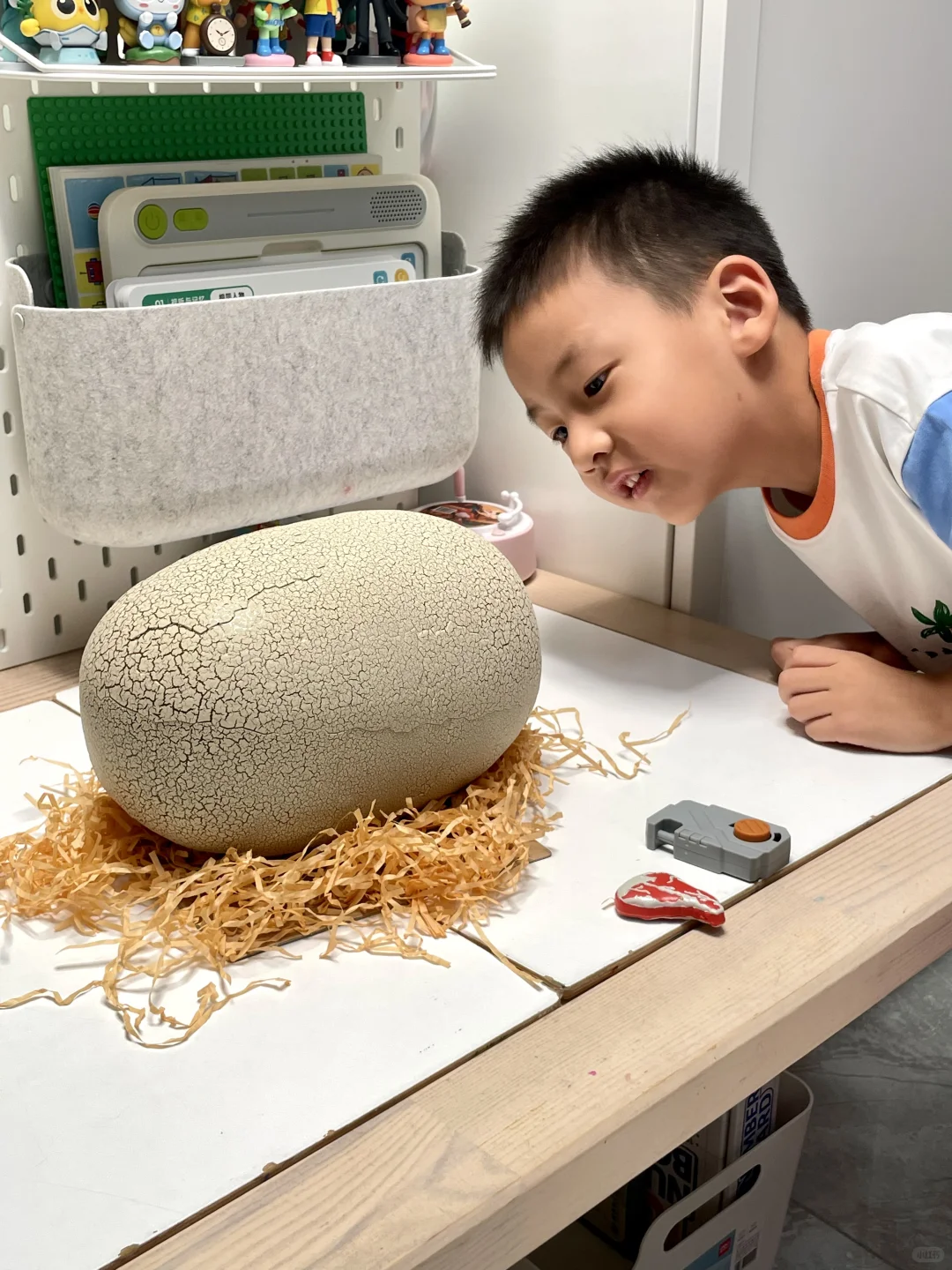 今年五岁生日 孵化了一只侏罗纪霸王龙?