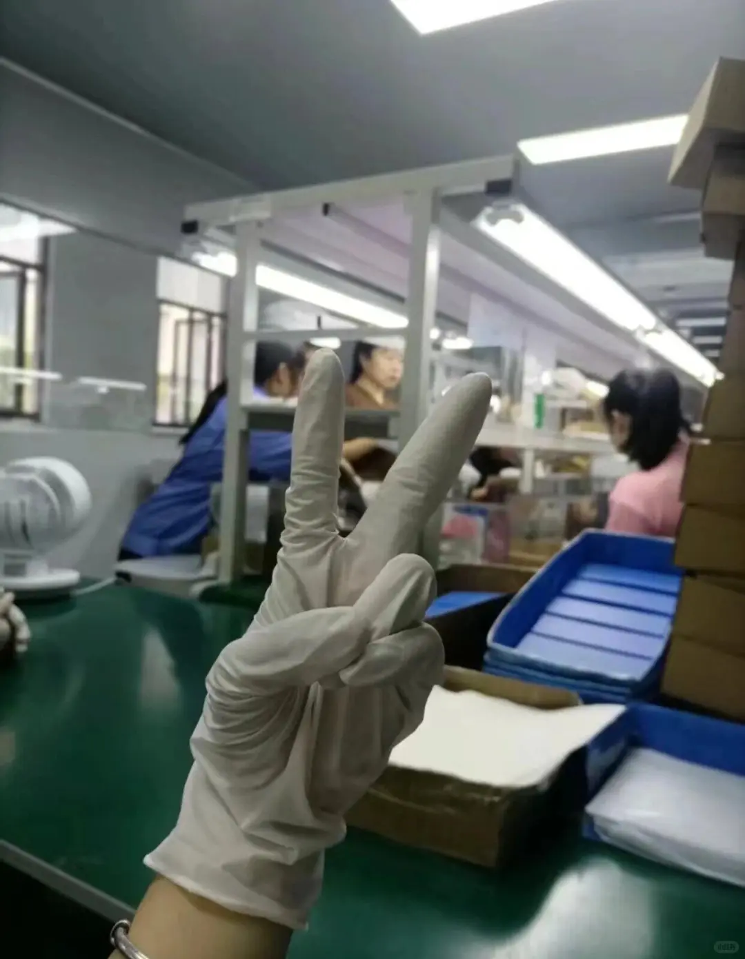 应届生进厂日记