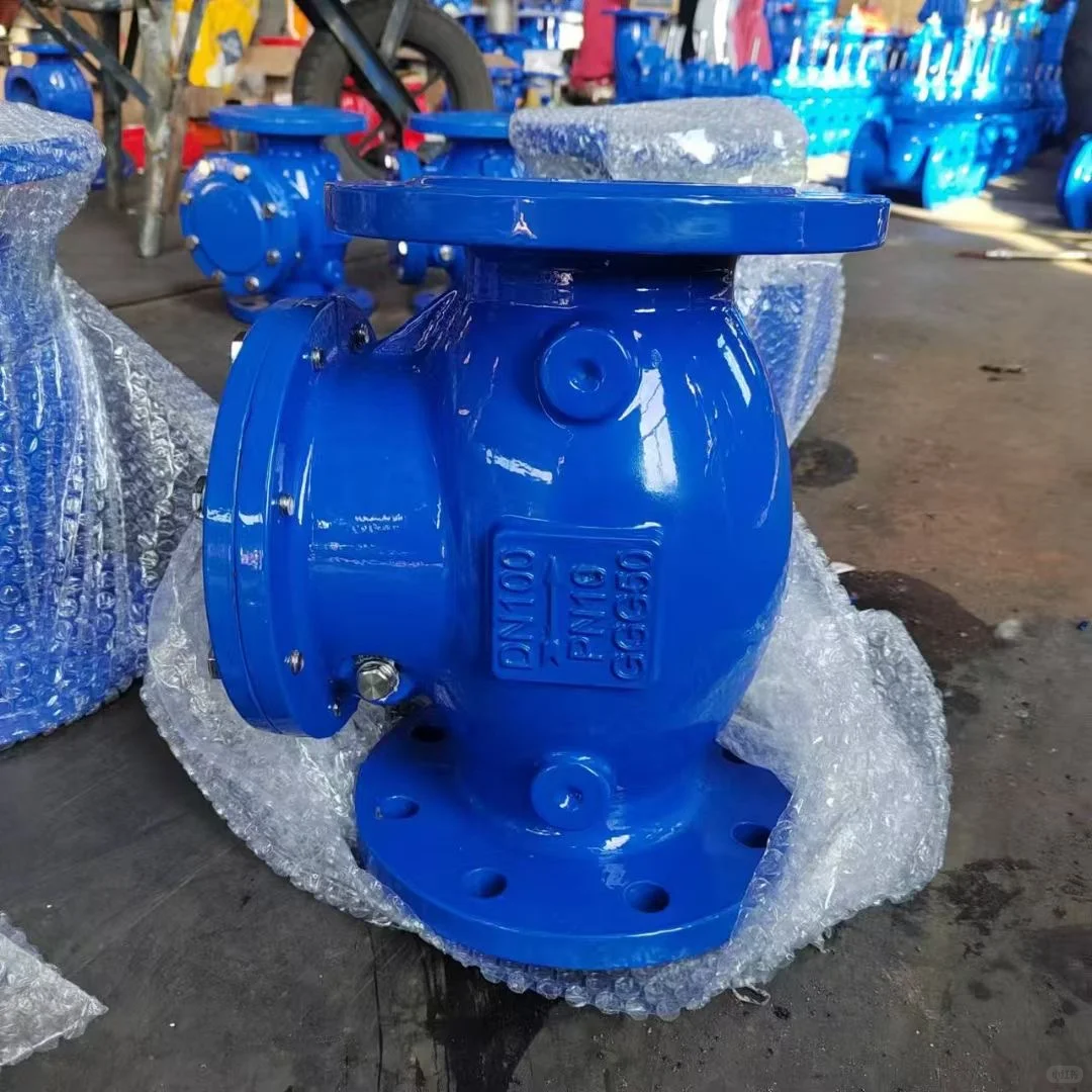 DN 100旋启式止回阀