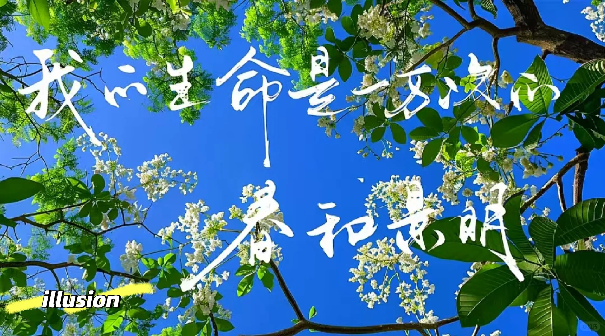 我生命是一万次的春和景明