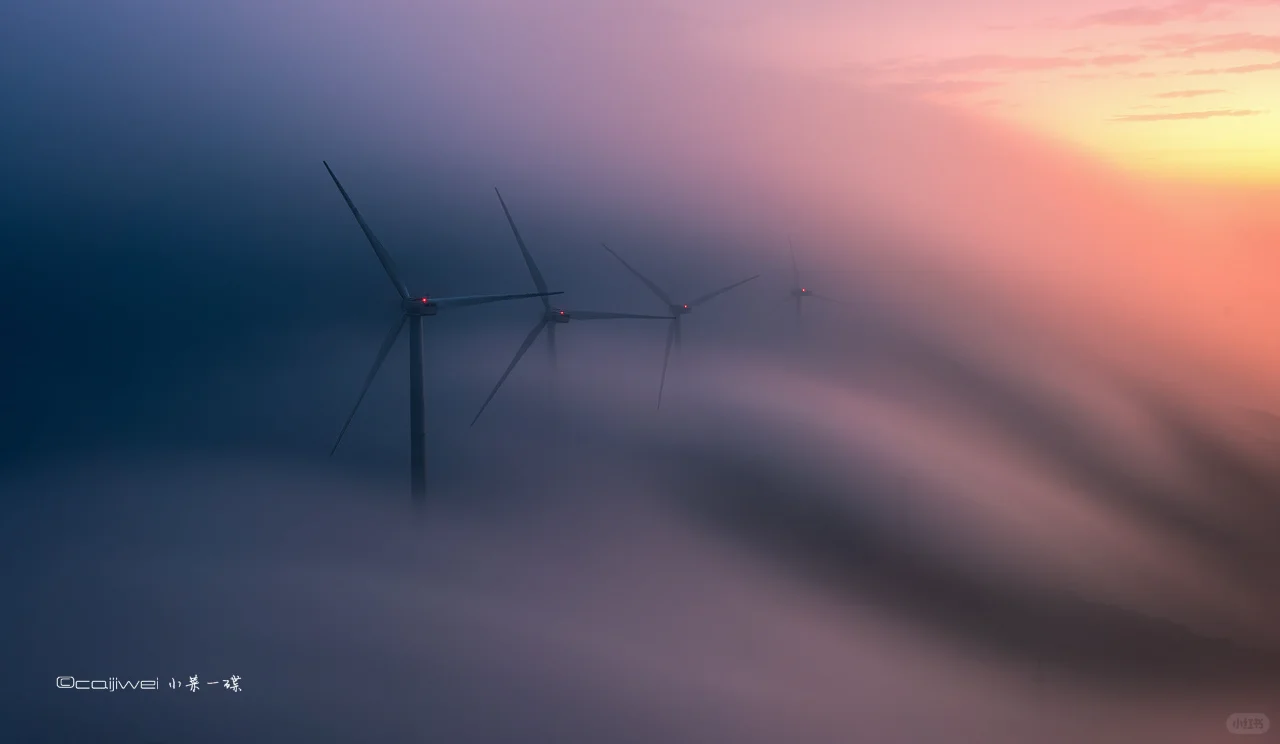 「能源之光」丨官方影展