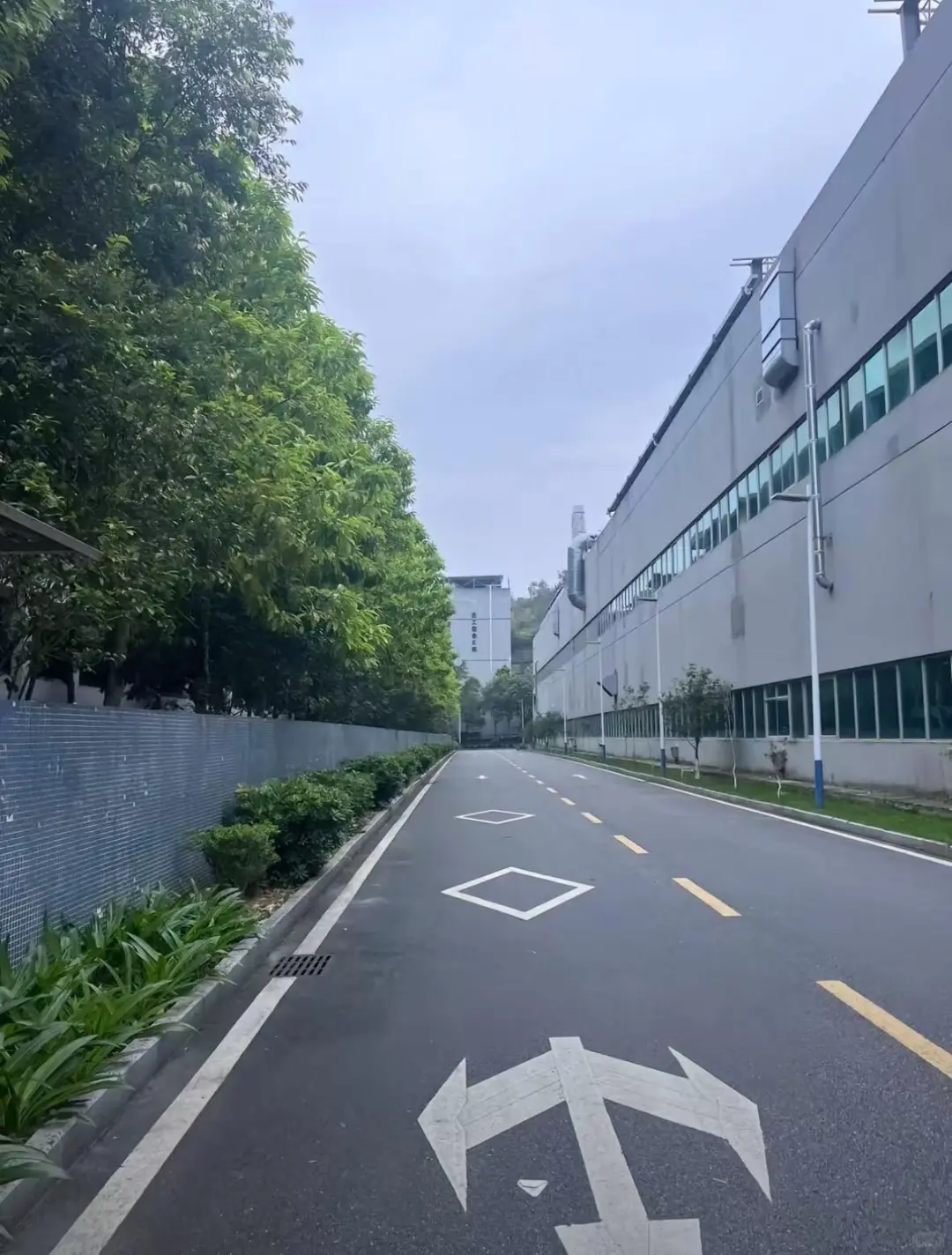 在新郑电子厂 30 天赚了 6500