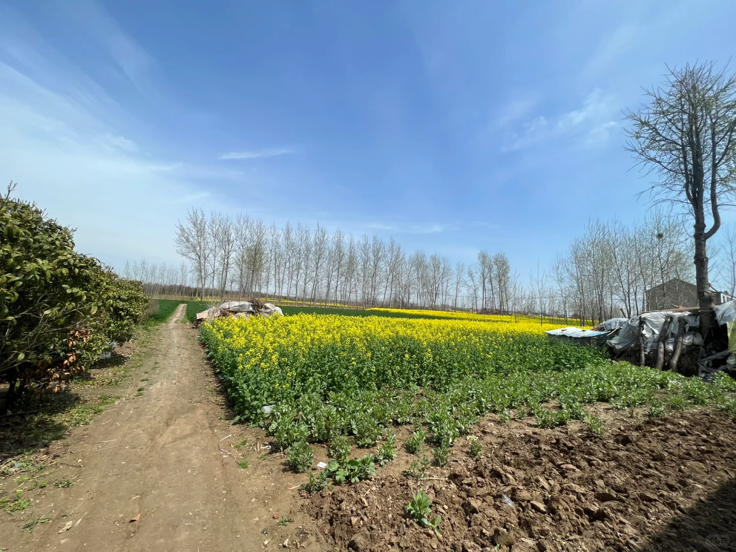 34岁的我，花60万在村里开了自己的工厂