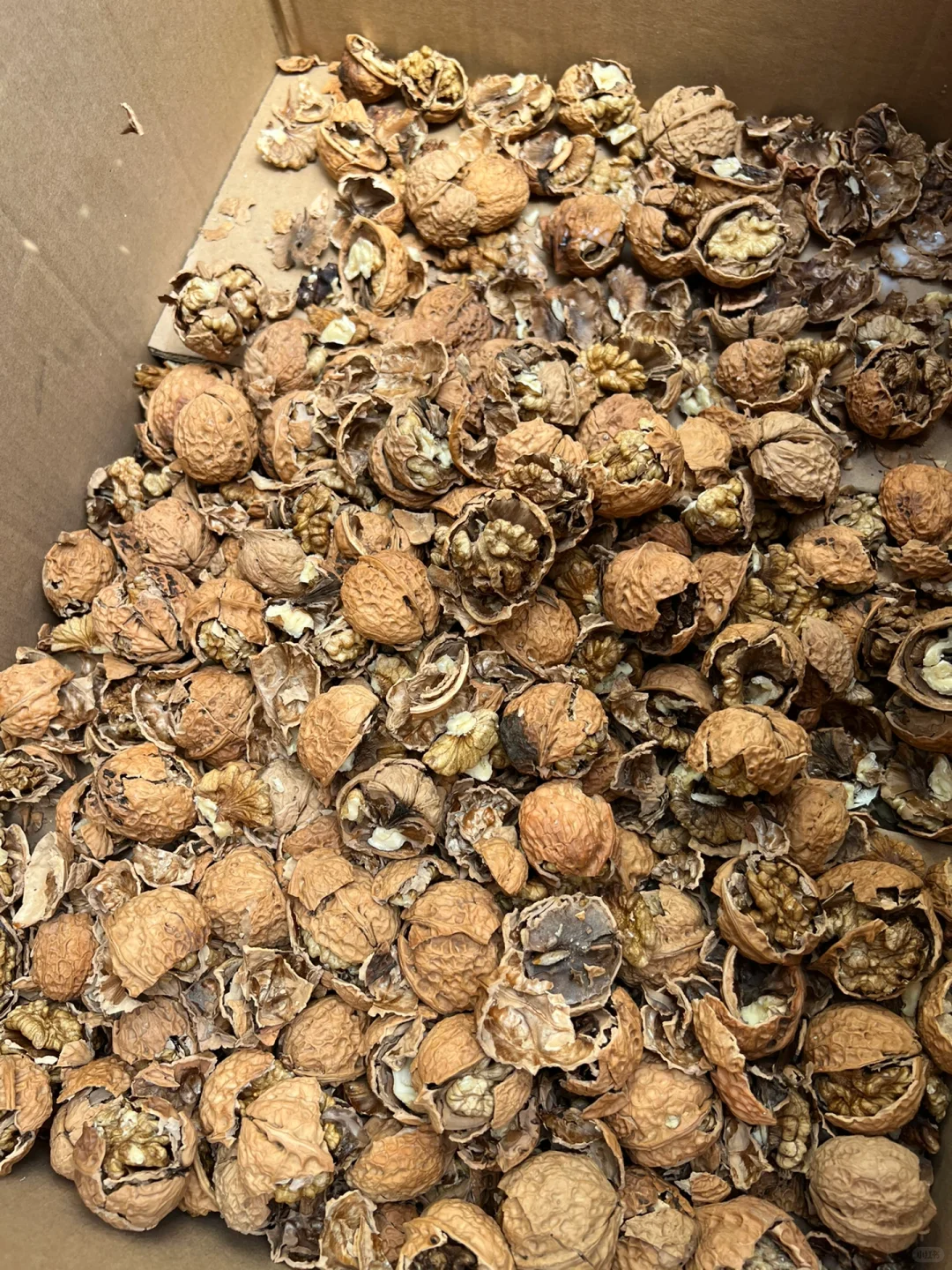 34岁的我，花60万在村里开了自己的工厂