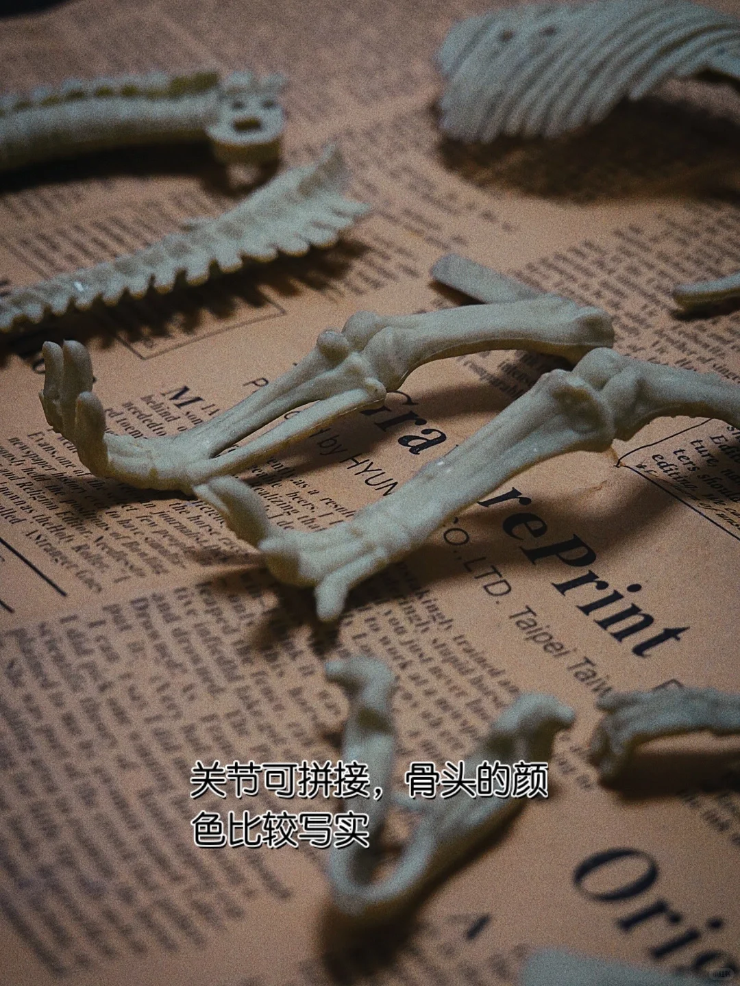 在家体验恐龙考古挖掘?（可拼搭）