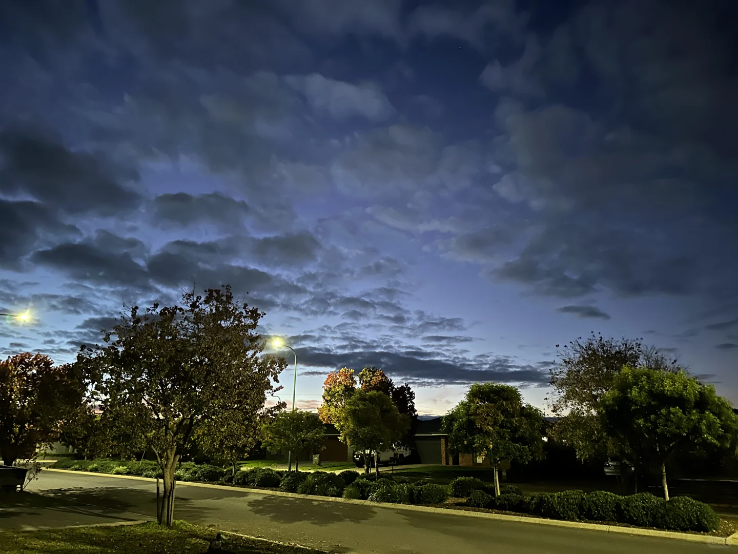 澳洲肉厂真的不是人类干的