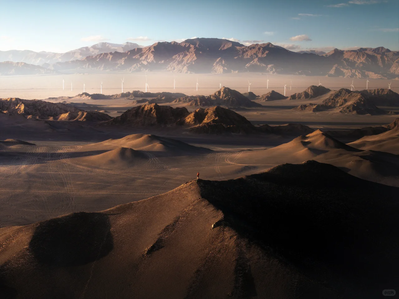 「能源之光」丨官方影展