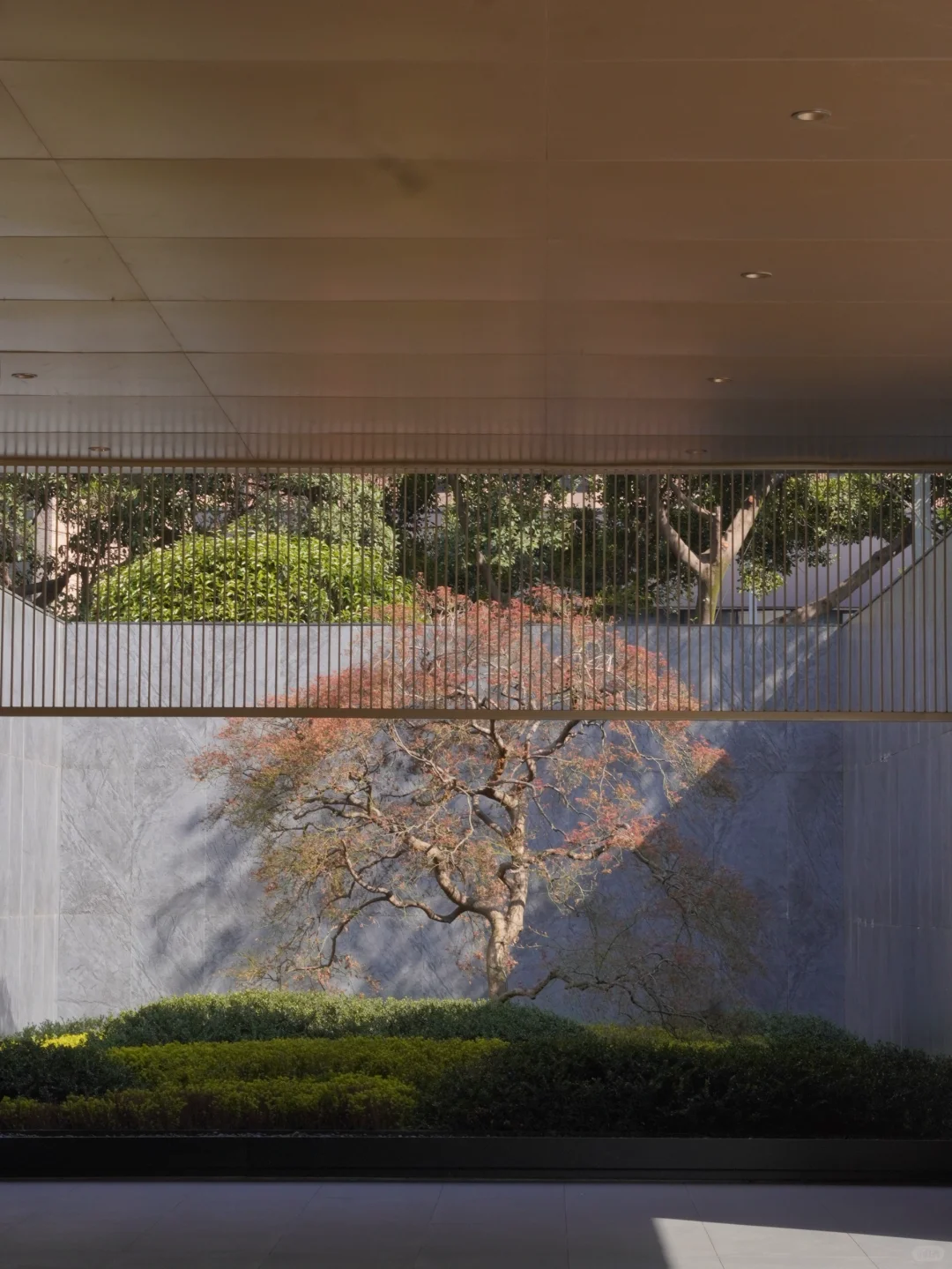 主城豪宅二选一!买错血亏百万