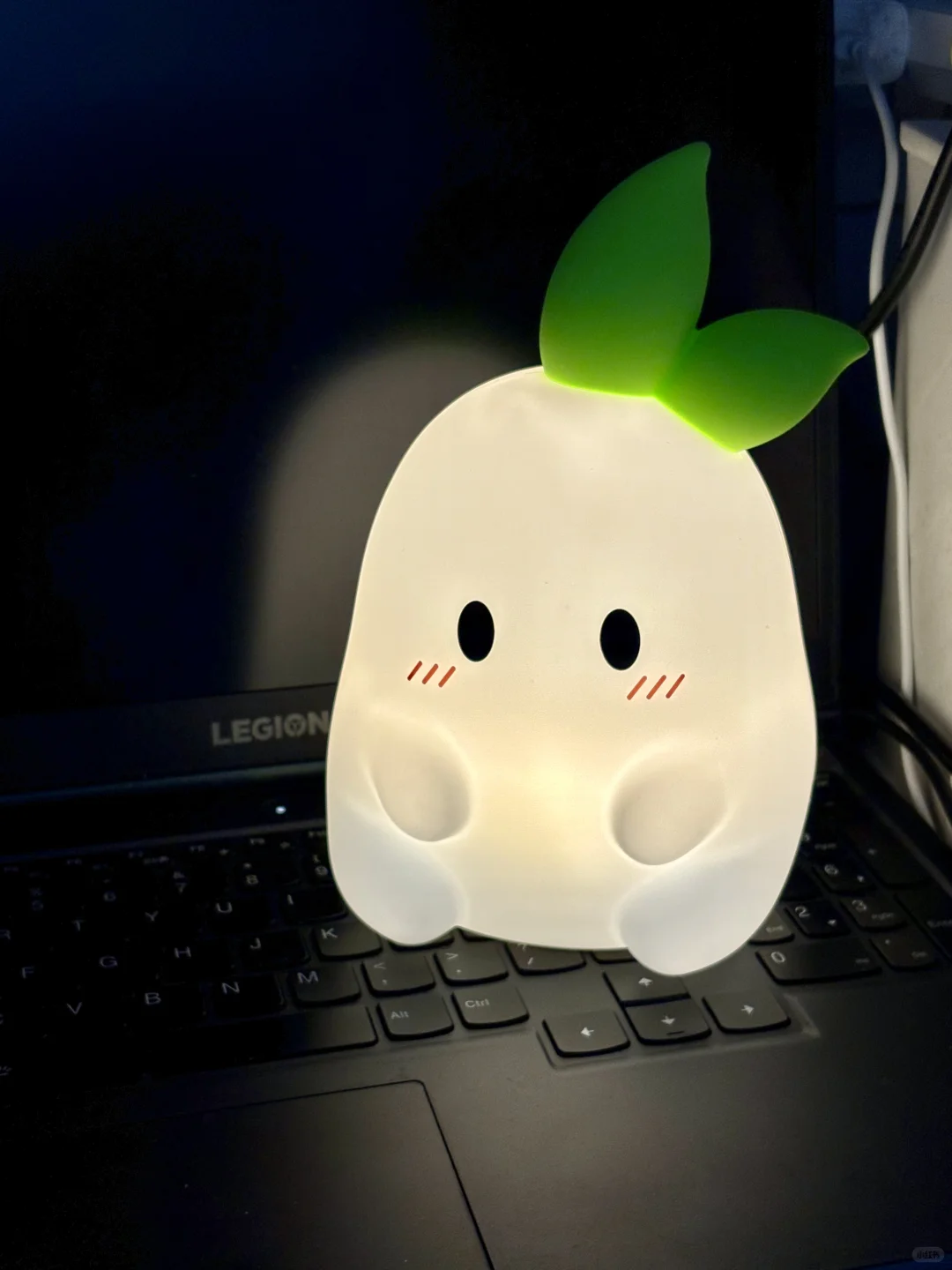 是谁拥有了这么可爱的小萝卜！