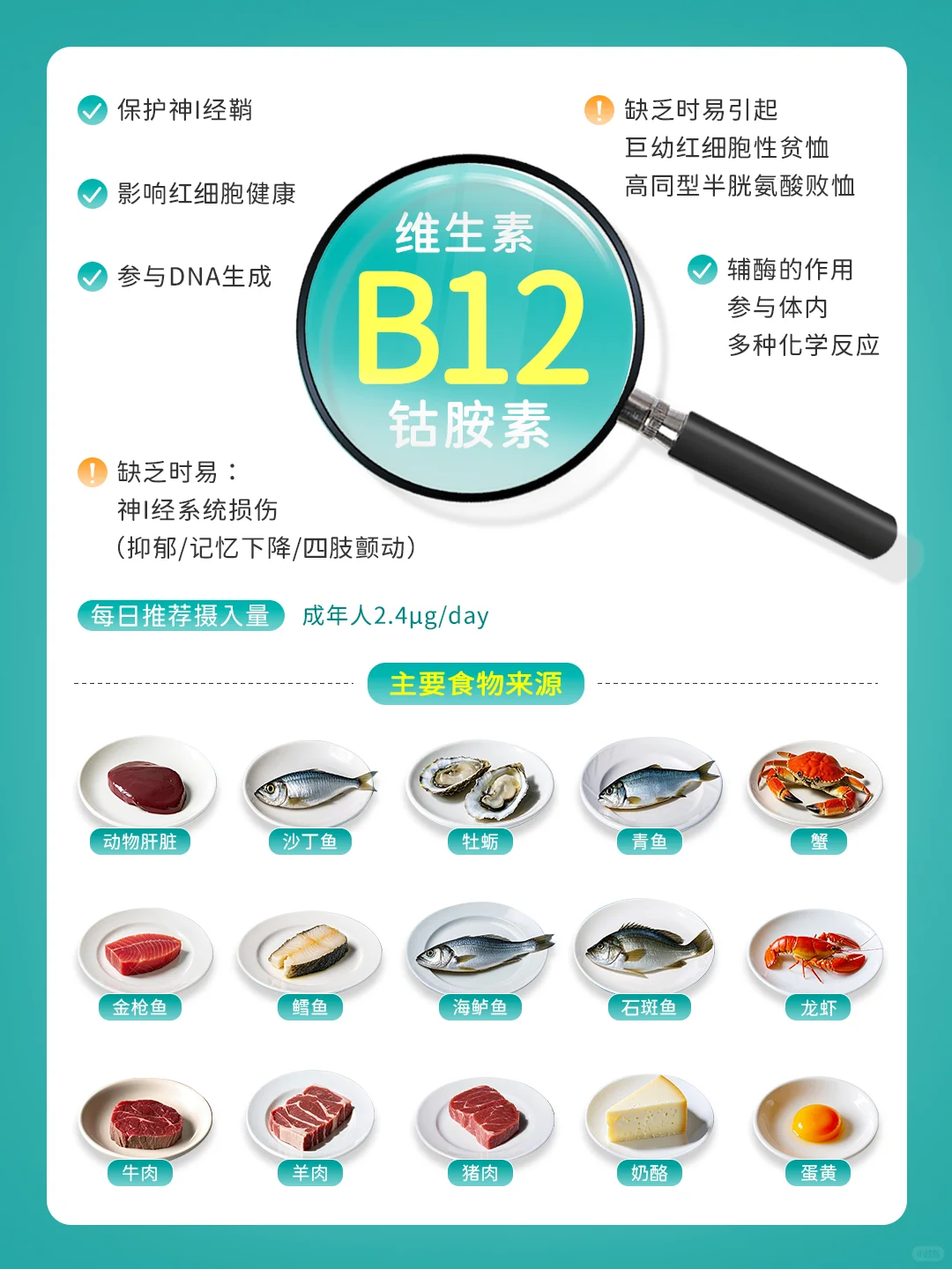 补充维生素B族：吃对食物才能打出完美配合