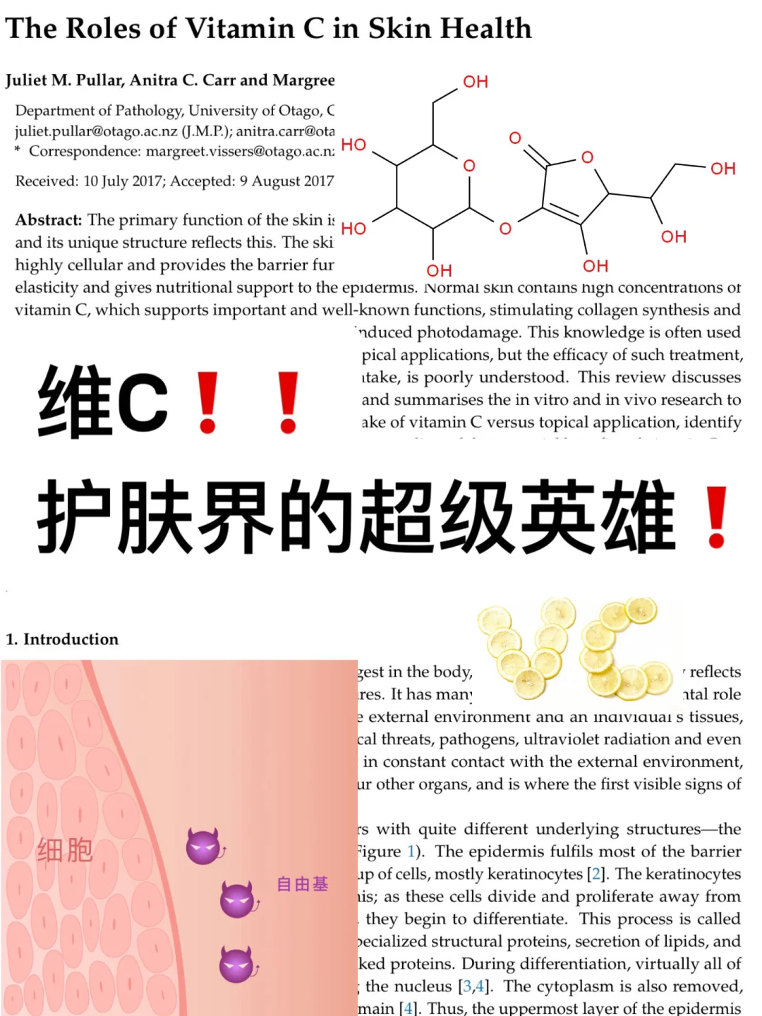 医学生扒成分～今天扒的是维生素C❗
