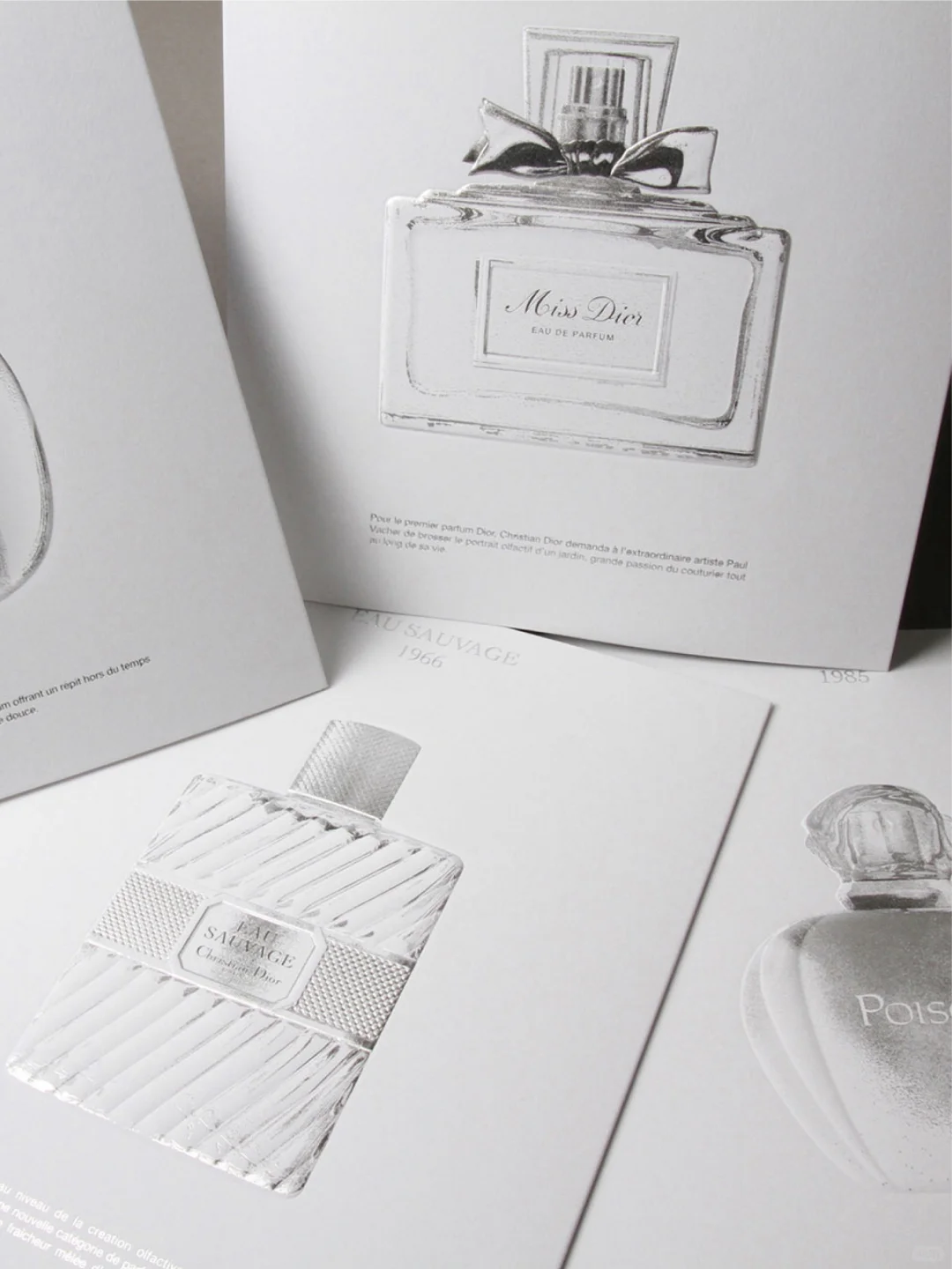 你永远可以相信奢侈品牌的审美！