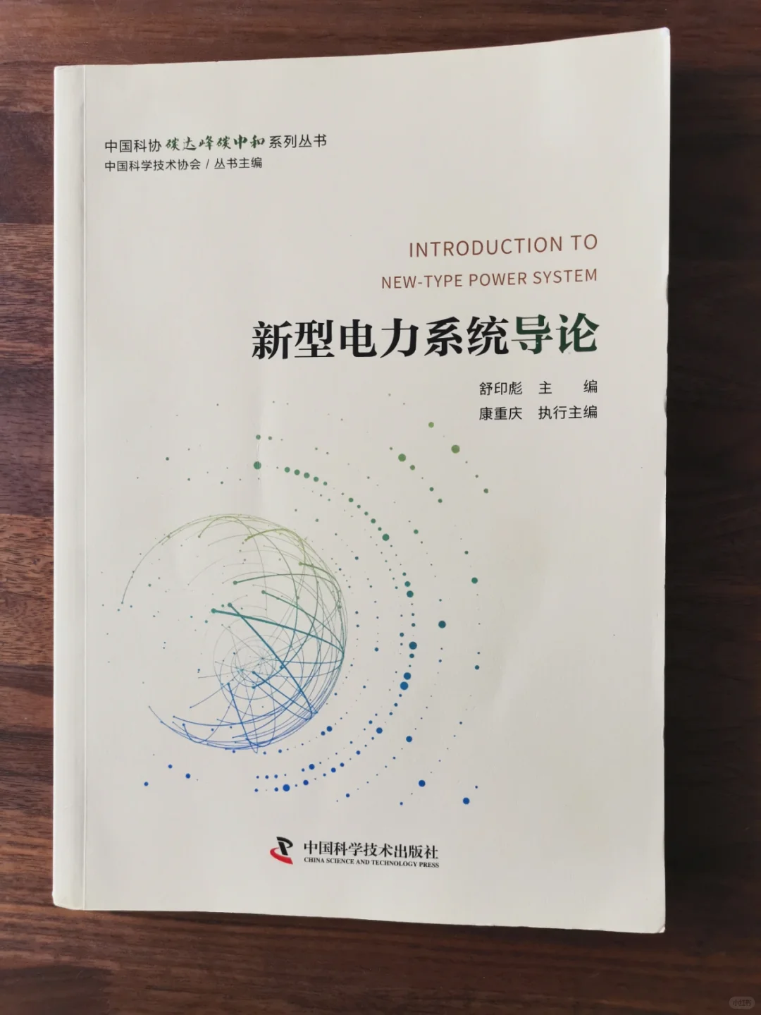 新型电力系统导论