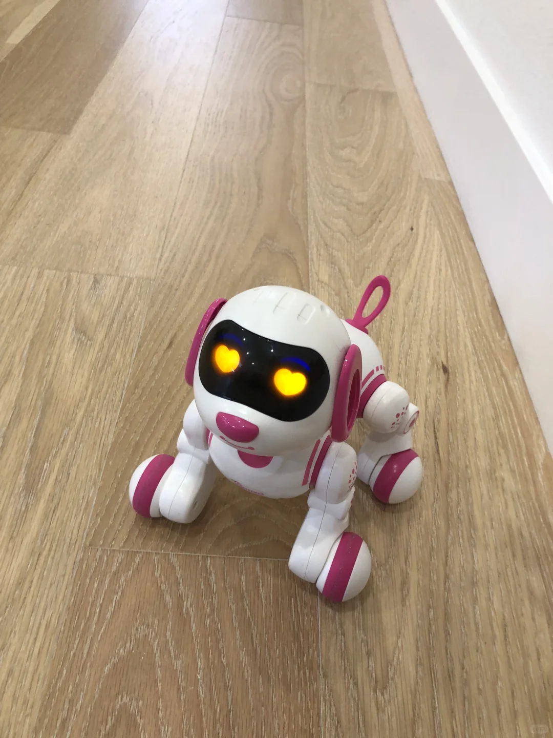 Target机器狗太好玩啦