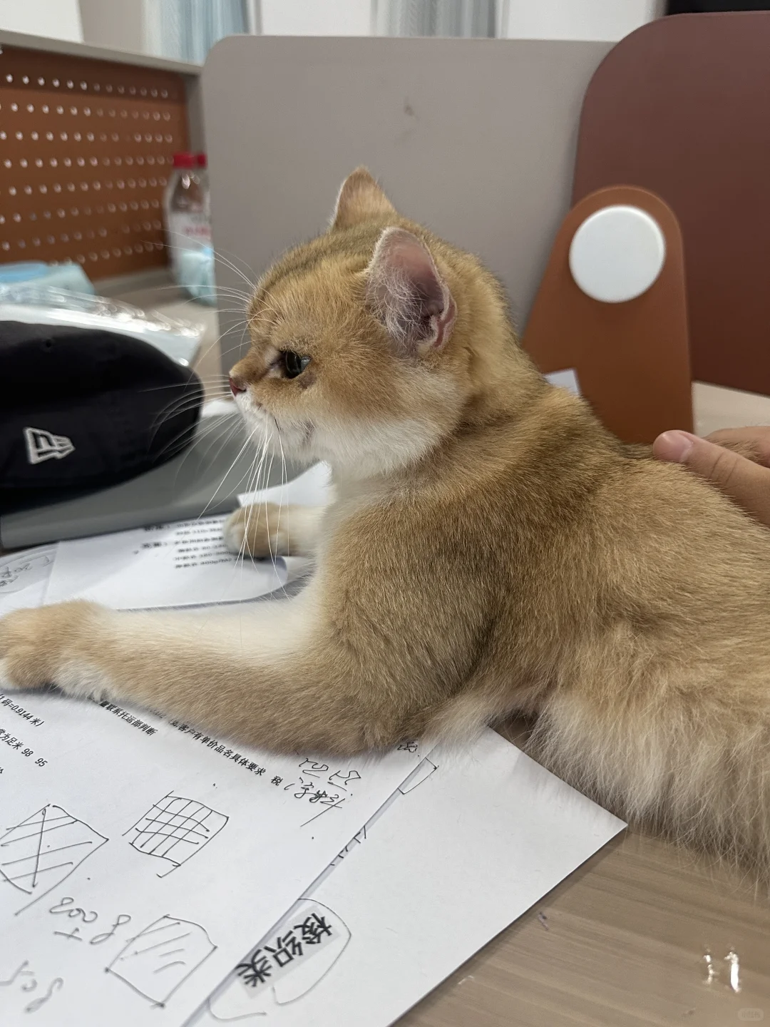 03年纺织新人｜上班第三天！！！