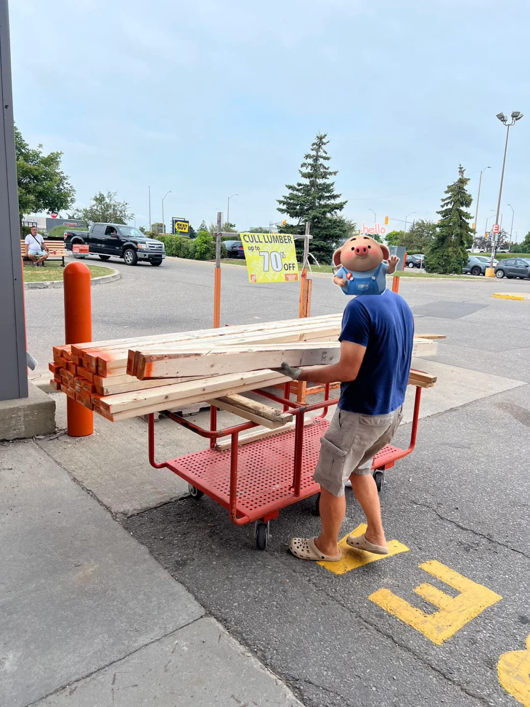 $1的实木8尺木头，太划算了