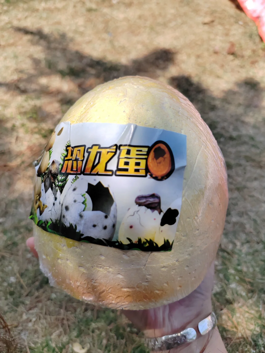 ?【必看】超棒的考古挖掘玩具批发来啦