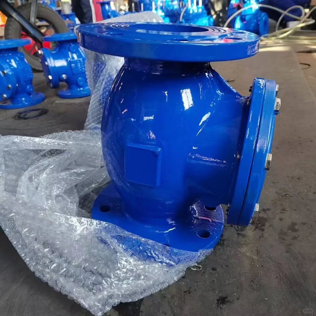 DN 100旋启式止回阀