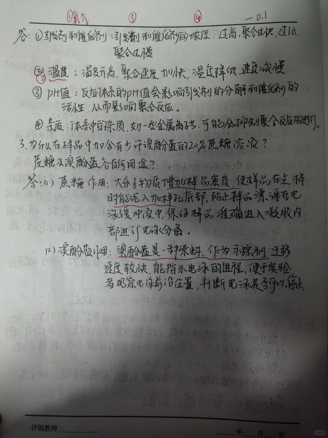 聚丙烯酰胺凝胶电泳分离血清蛋白