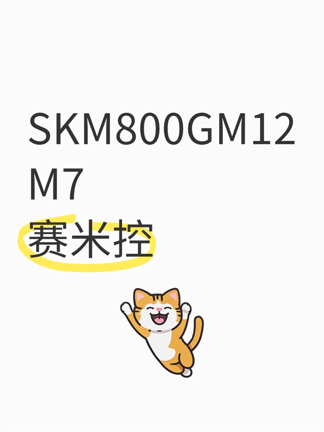 SKM800GM12M7 赛米控